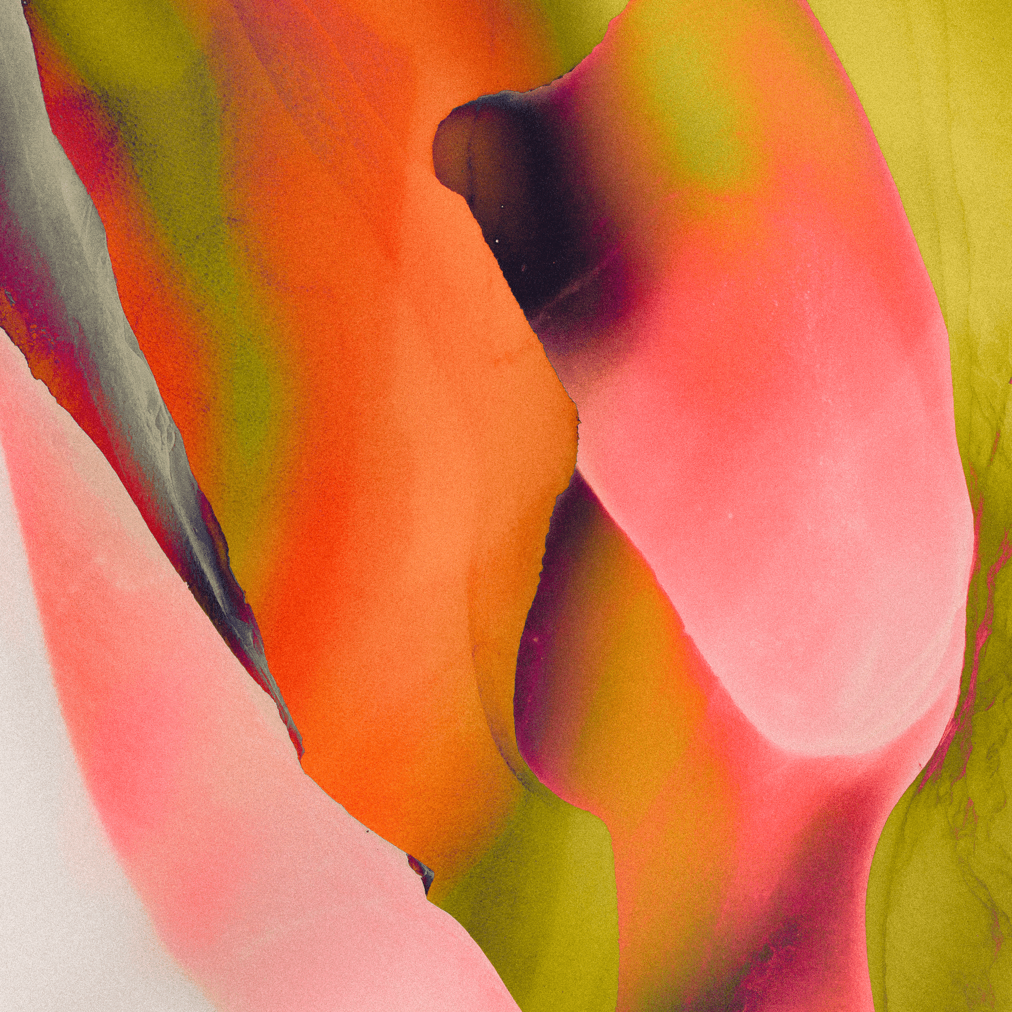 Cover art for slenderbodies's song: be my love