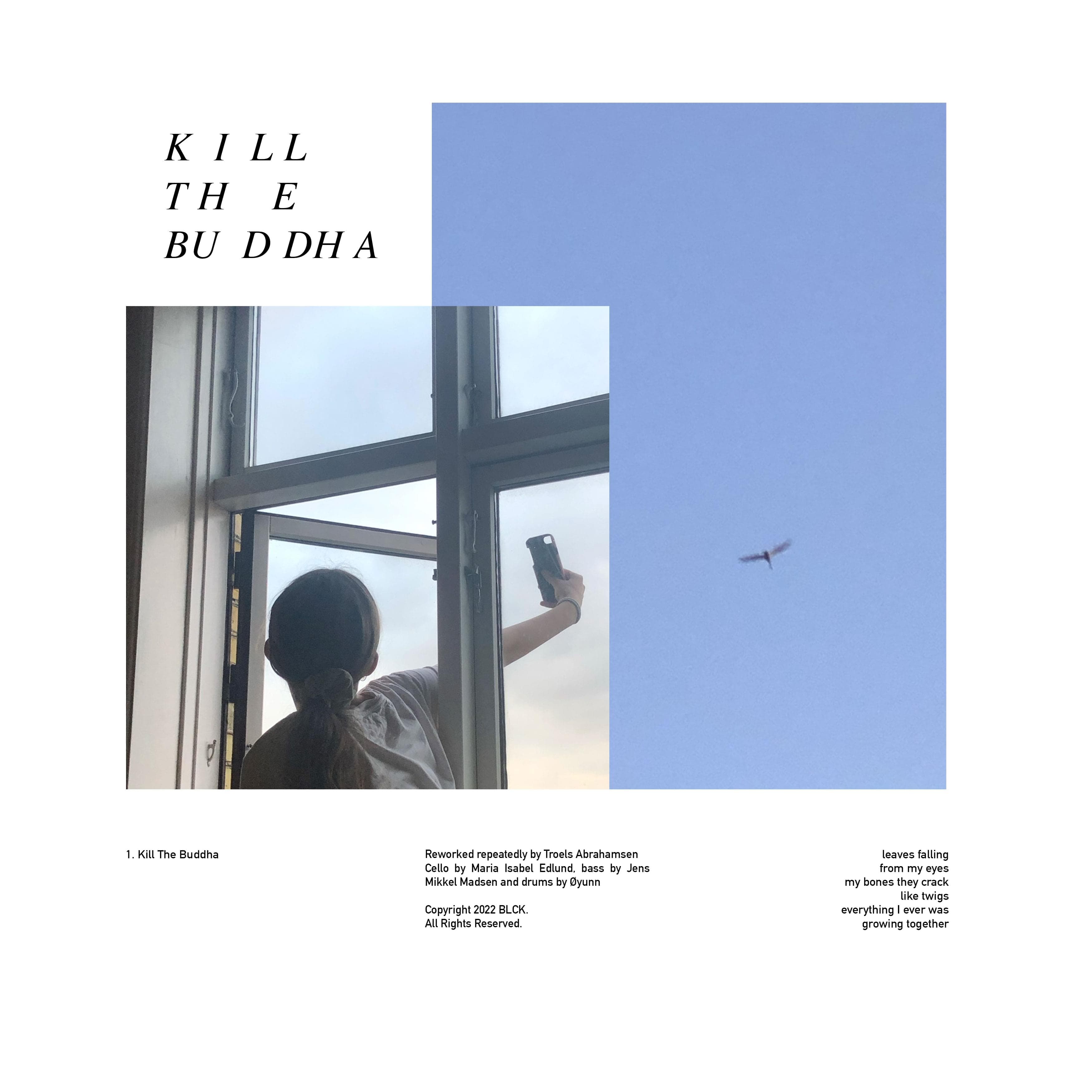 Cover art for Troels Abrahamsen's song: Kill The Buddha