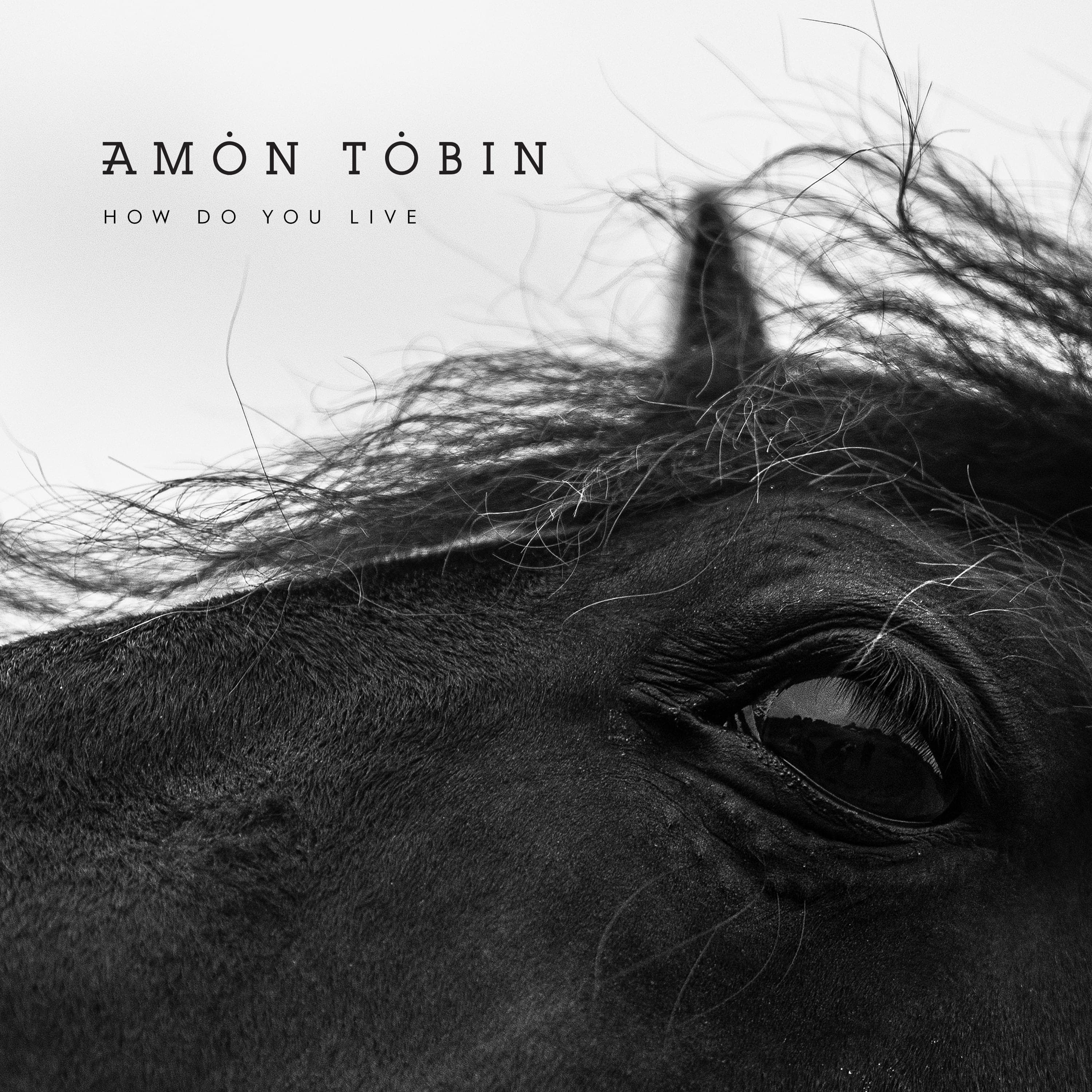 Cover art for Amon Tobin's song: In a Valley Stood the Sun