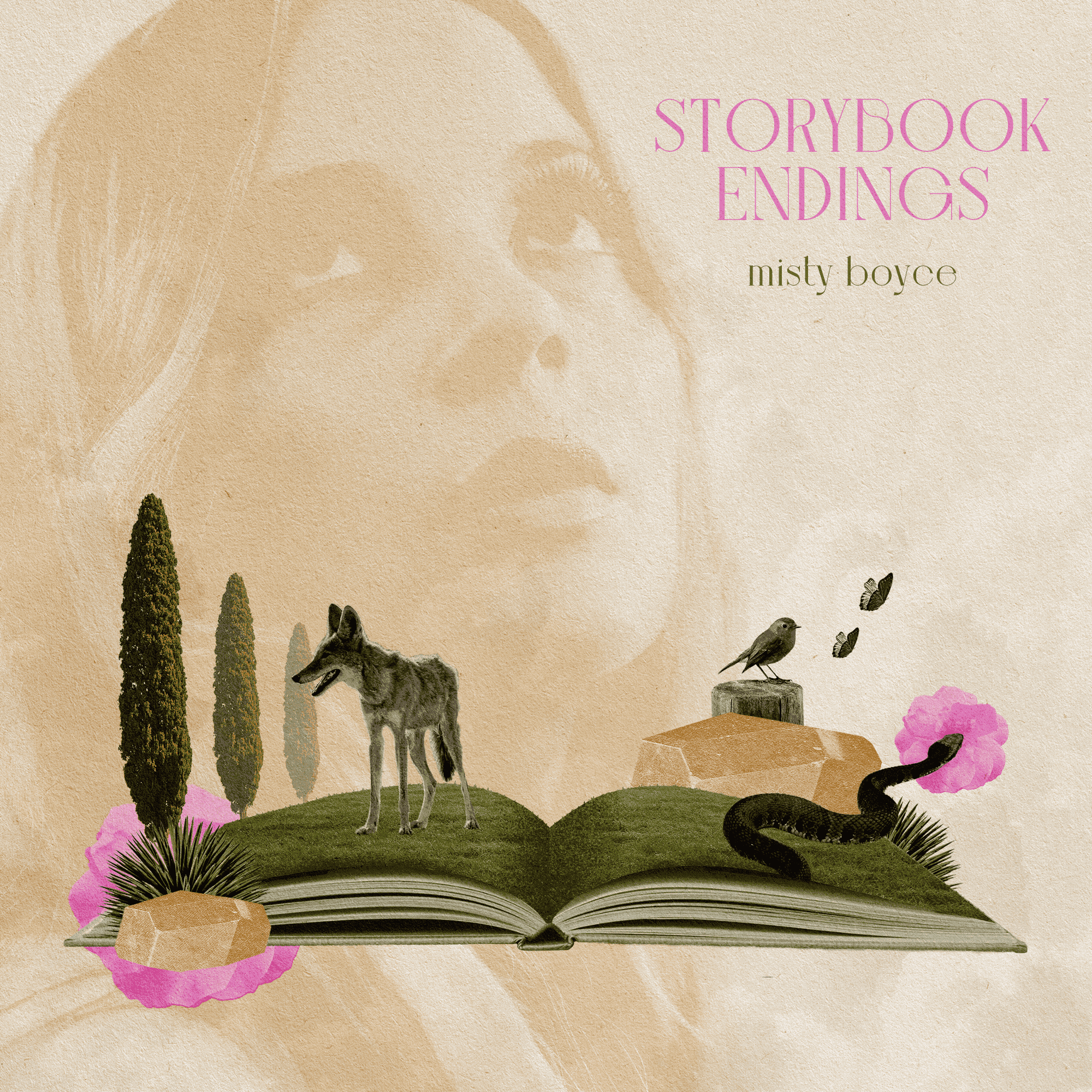 Cover art for Misty Boyce's song: Storybook Endings