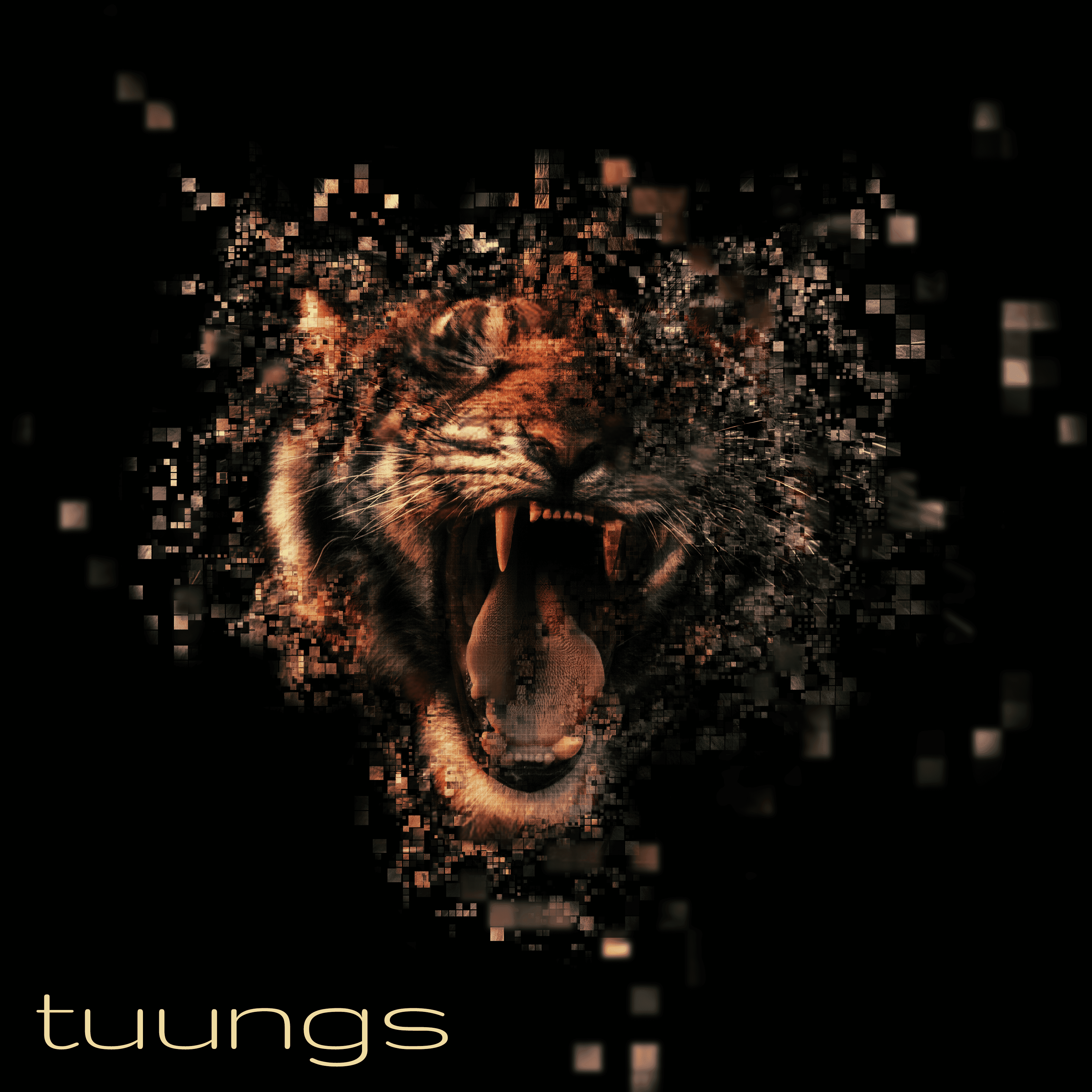 Cover art for The Balance King's song: tuungs