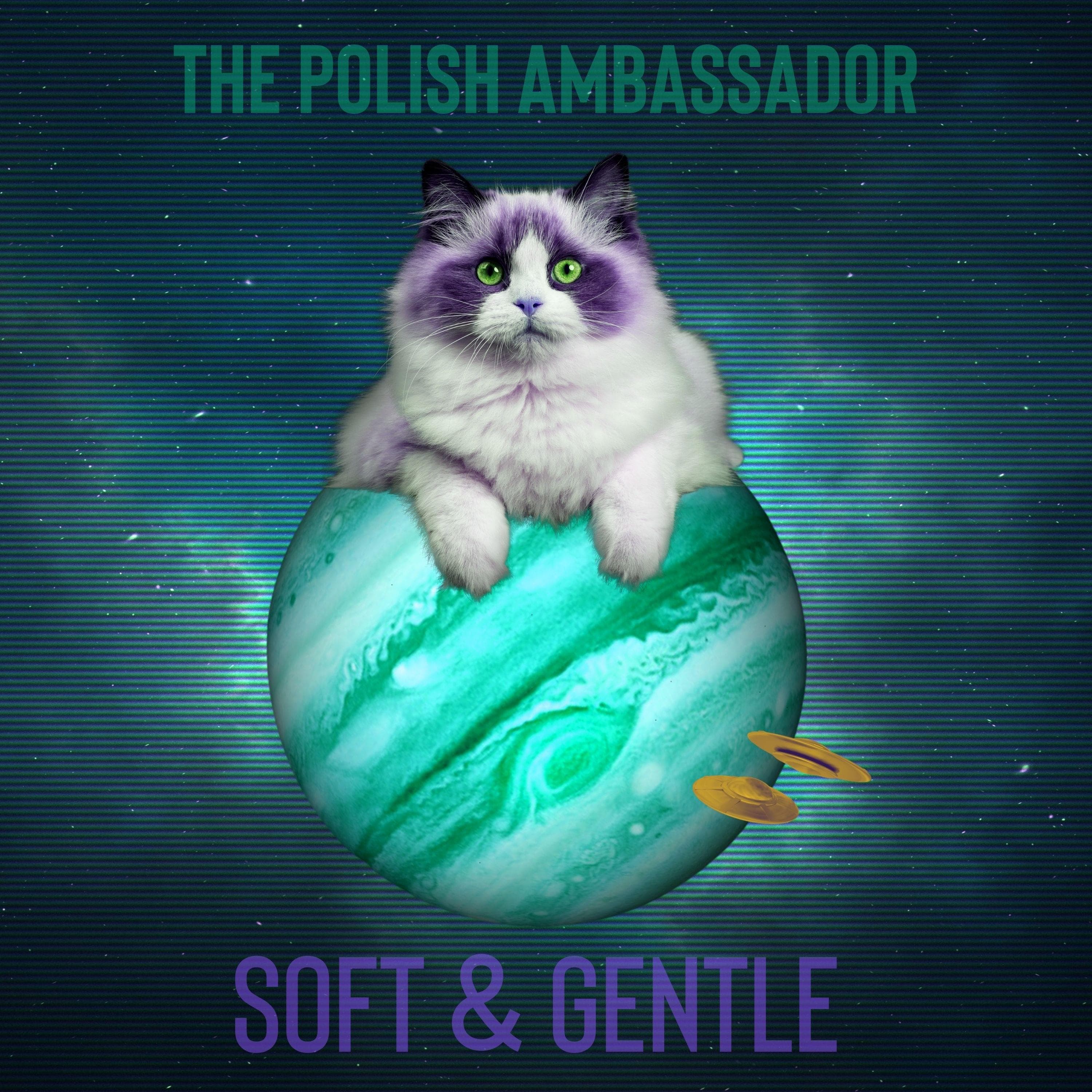 Cover art for The Polish Ambassador's song: Soft & Gentle