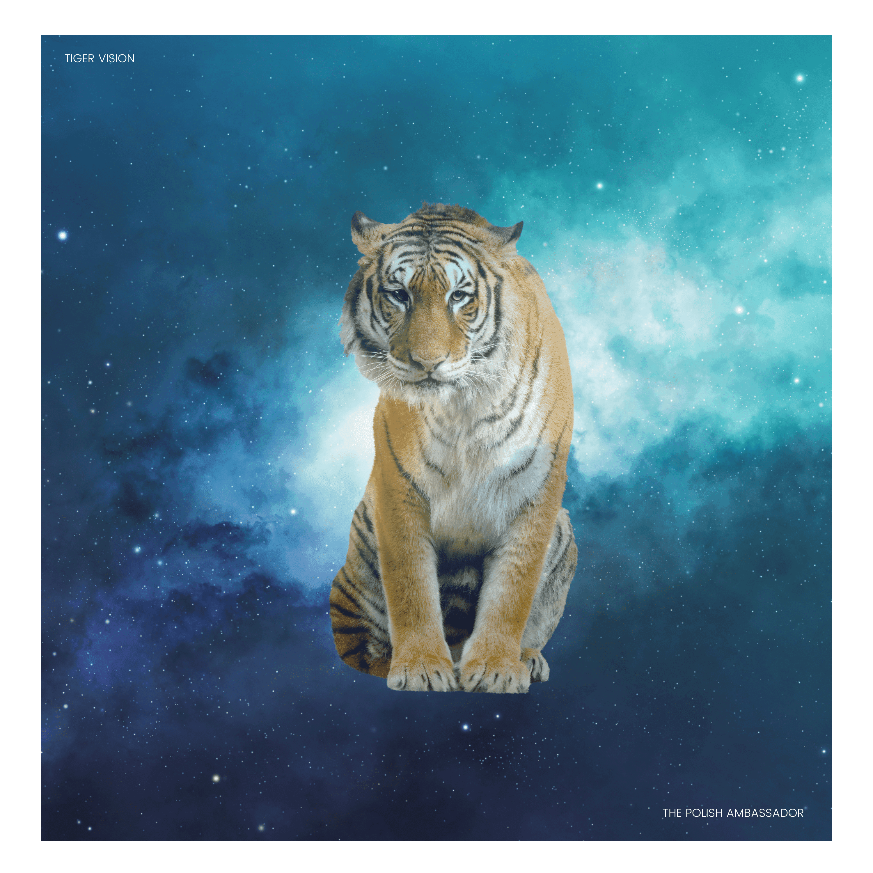 Cover art for The Polish Ambassador's song: Tiger Vision